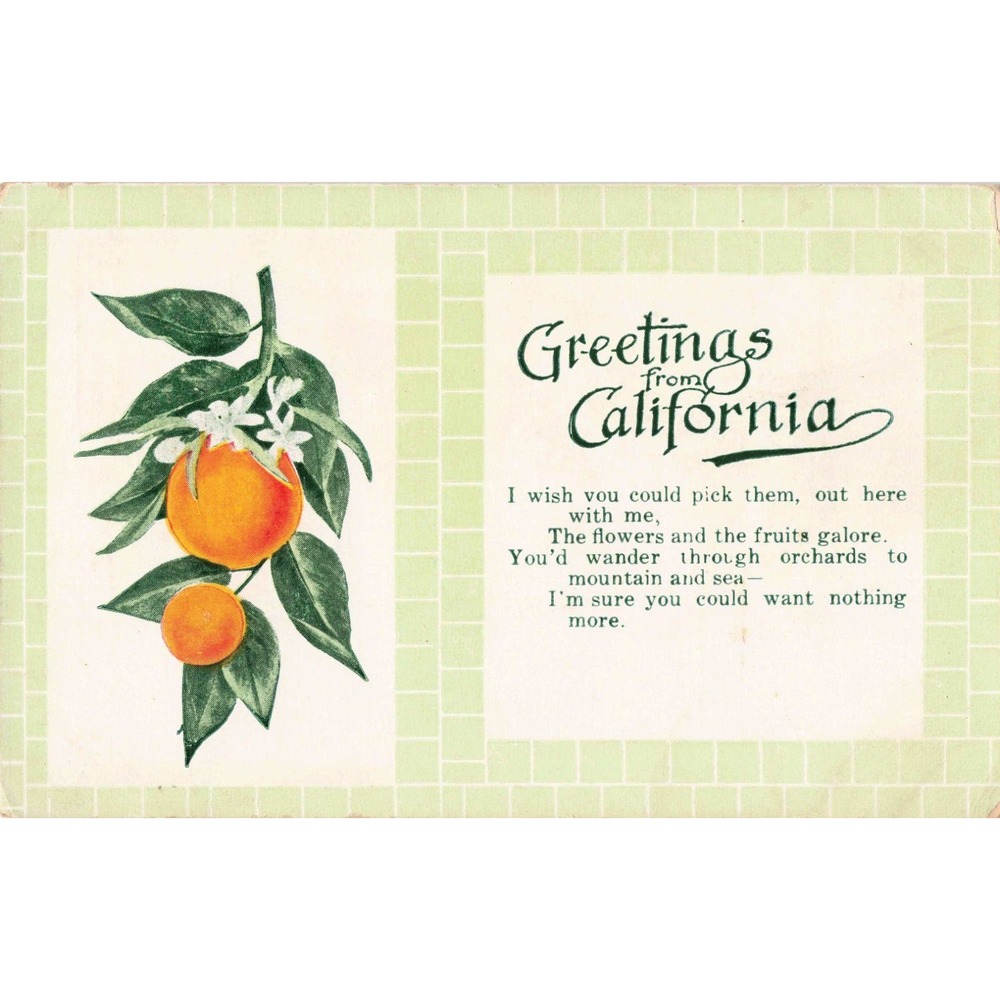 Vtg Greetings From California Oversized Postcard Wood's Oranges S-88 VG - Picture 1 of 2
